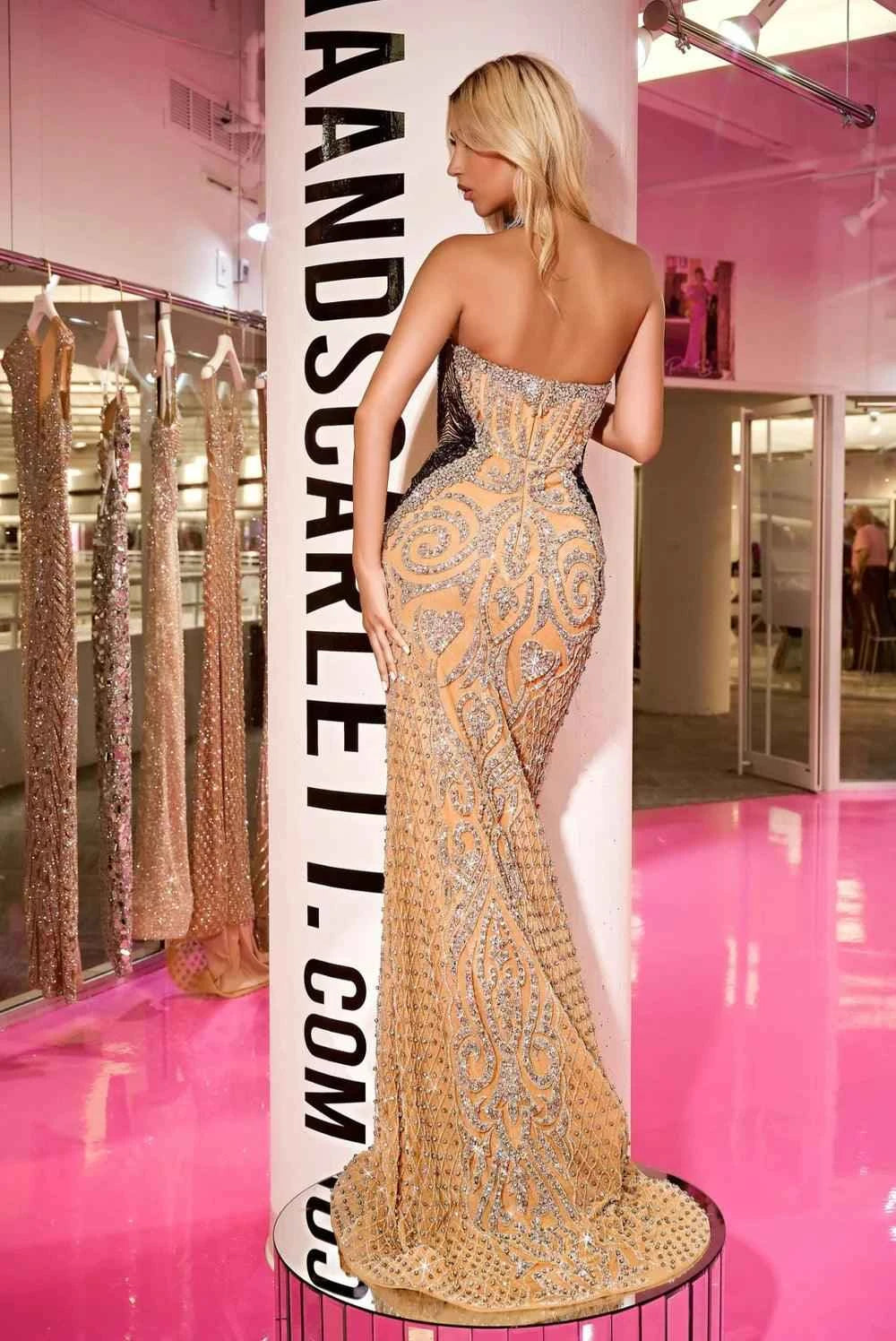 MARVY GOWN -  PS24867C